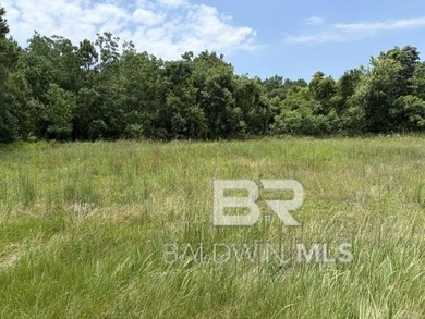 Gulf Shores Building Lot For Sale!!! $99,900!!! Extra large - photo 4