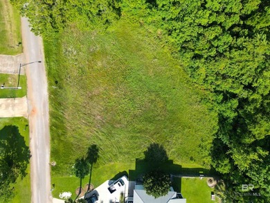 Gulf Shores Building Lot For Sale!!! $99,900!!! Extra large - photo 8