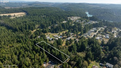 Joe Ney Slough Lot For Sale in Coos Bay Oregon