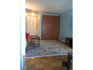 Junior one bed room apartment 6E in great condition on quiet - photo 6