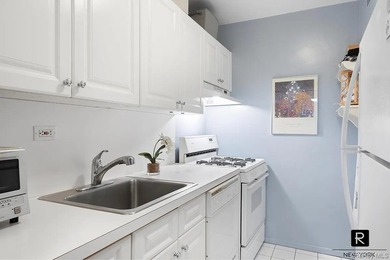 Junior one bed room apartment 6E in great condition on quiet - photo 7