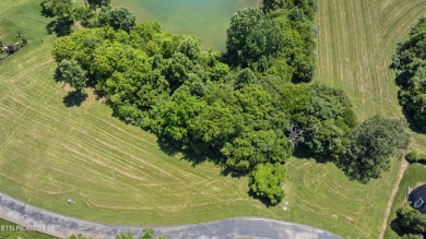Lake Lot For Sale in Vonore, Tennessee