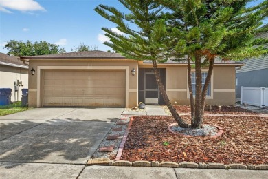 Lake Home For Sale in Odessa, Florida