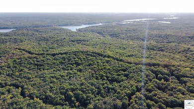 The property featured 80 +/- acres with more available for - photo 5