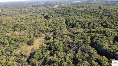 The property featured 80 +/- acres with more available for - photo 6