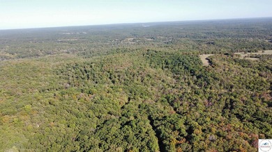 The property featured 80 +/- acres with more available for - photo 7