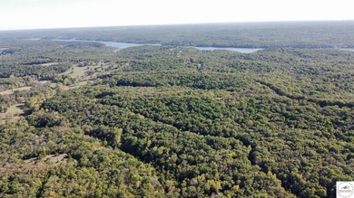 The property featured 80 +/- acres with more available for - photo 8