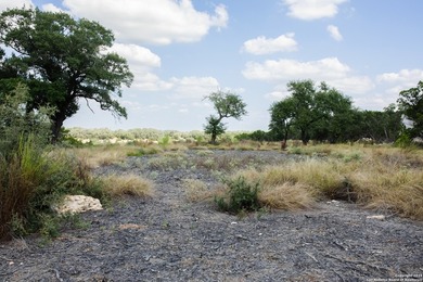 Offering a level, build-ready homesite, this property showcases - photo 13