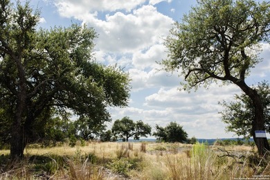 Offering a level, build-ready homesite, this property showcases - photo 14