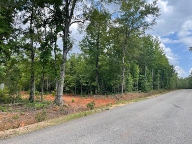 Lake Harding Acreage For Sale in Salem Alabama