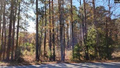 Lake Murray Lot For Sale in Lexington South Carolina