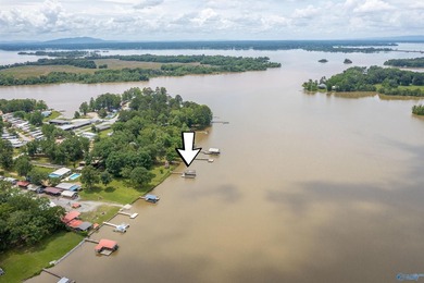 Contemporary lake living on beautiful Weiss Lake! This 4BR/4BA - photo 11