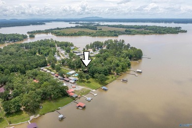 Contemporary lake living on beautiful Weiss Lake! This 4BR/4BA - photo 13