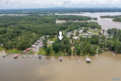 Contemporary lake living on beautiful Weiss Lake! This 4BR/4BA - photo 14