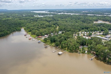 Contemporary lake living on beautiful Weiss Lake! This 4BR/4BA - photo 18
