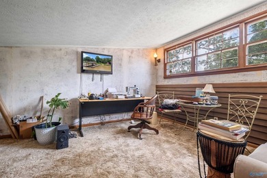 Contemporary lake living on beautiful Weiss Lake! This 4BR/4BA - photo 42