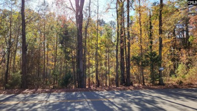 Lake Murray Lot For Sale in Lexington South Carolina