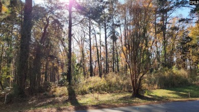 Lake Murray Lot For Sale in Lexington South Carolina