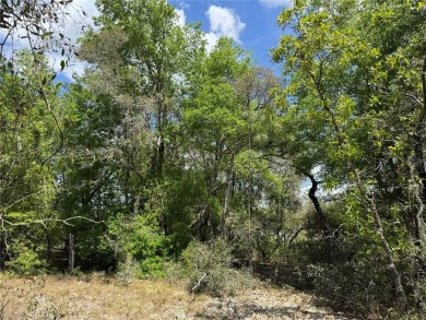Lake Lot For Sale in Dunnellon, Florida