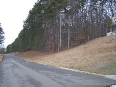 Lake Lot For Sale in Oneonta, Alabama