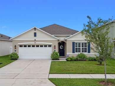 Lake Home For Sale in Tavares, Florida