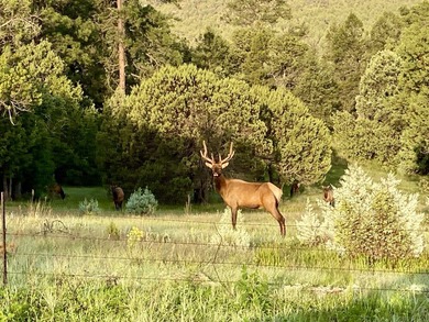 Sky Fire Ranch could be the ideal for a temperate climate