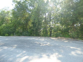 Emory River Lot For Sale in Harriman Tennessee