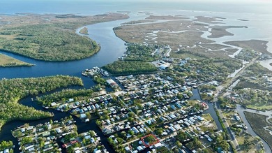 Experience the best of Suwannee, FL waterfront living with this - photo 2