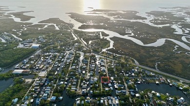Experience the best of Suwannee, FL waterfront living with this - photo 3