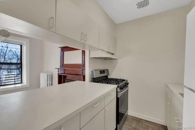 309 W 138th Street Welcome to 309 West 138th Street - a historic - photo 10