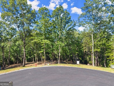 Beautiful homesite at the end of the street. Partially wooded - photo 1