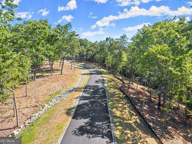 Beautiful partially wooded homesite. One of the new home sites - photo 1