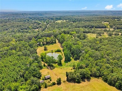A turnkey recreational & timber property located less than an - photo 14