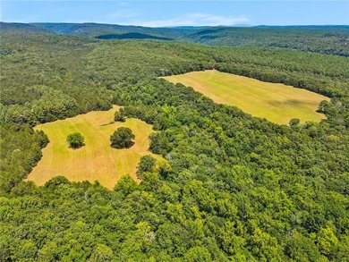 A turnkey recreational & timber property located less than an - photo 27