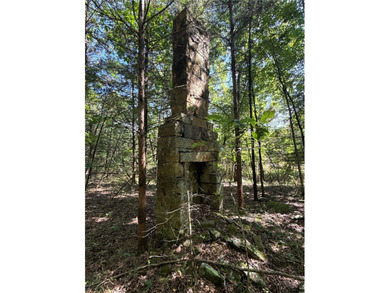 A turnkey recreational & timber property located less than an - photo 31