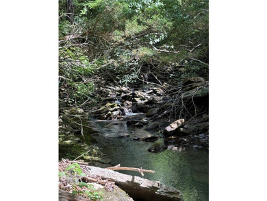 A turnkey recreational & timber property located less than an - photo 34