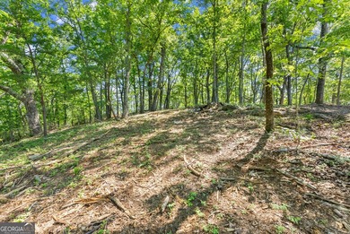 Beautiful homesite, partially wooded. One of the new home sites - photo 1