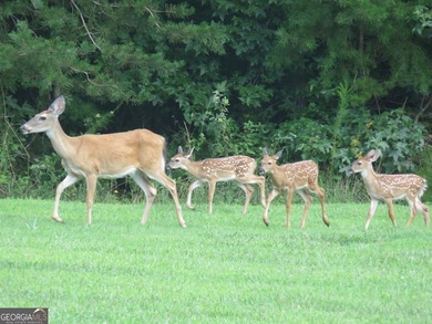 Beautiful homesite, partially wooded. One of the new home sites - photo 8