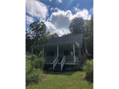Lake Home For Sale in Sanford, New York
