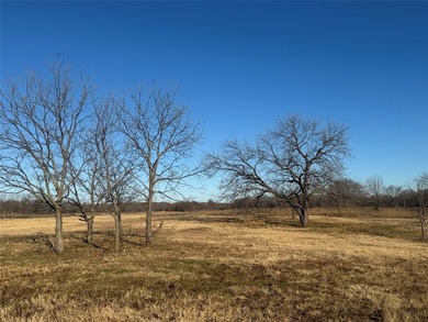 'NESTLED ALONG THE BREATHTAKING SHORES OF LAKE RAY ROBERTS, 12 - photo 8