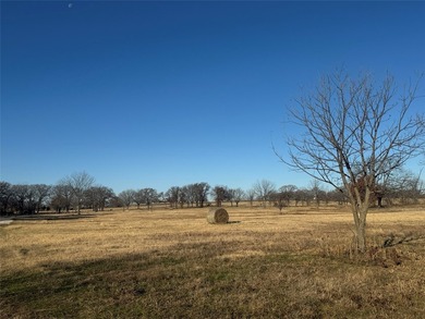 'NESTLED ALONG THE BREATHTAKING SHORES OF LAKE RAY ROBERTS, 12 - photo 9