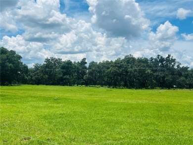 (private lake, pond, creek) Acreage For Sale in Bushnell Florida