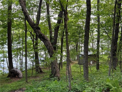Phenomenal lot! Craft your dream home or cabin on the serene - photo 6