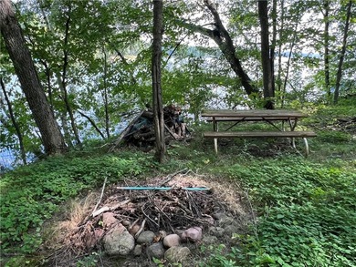 Phenomenal lot! Craft your dream home or cabin on the serene - photo 10