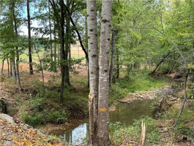 Lake Acreage For Sale in Salem, Alabama