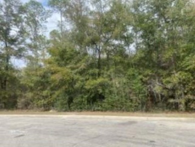 Great commercial lot on Crawfordville Highway. One of the most - photo 2