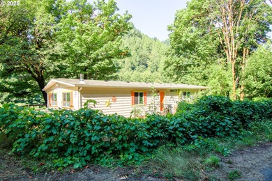 Siuslaw River Home For Sale in Mapleton Oregon