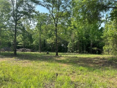 Lake Acreage For Sale in Salem, Alabama