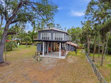 Discover the ultimate Suwannee, FL waterfront retreat with this - photo 5