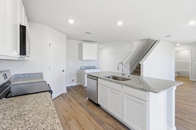Welcome to 177 Milestone Trail in Wesley Park, our new home - photo 7